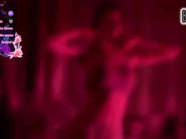 Armura webcam