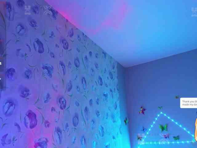 Armura webcam
