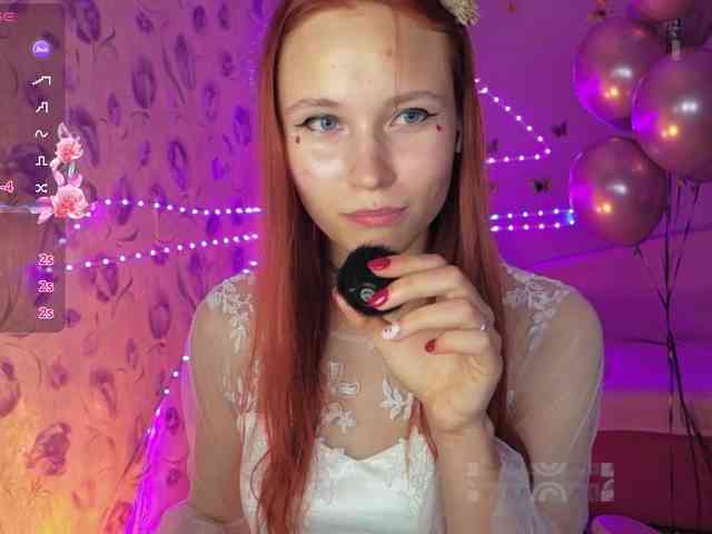 Armura webcam