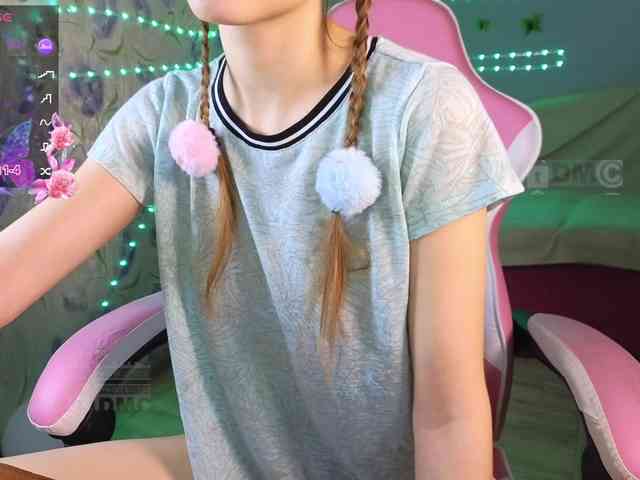 Armura webcam