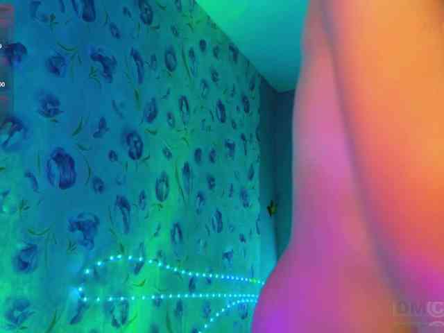 Armura webcam