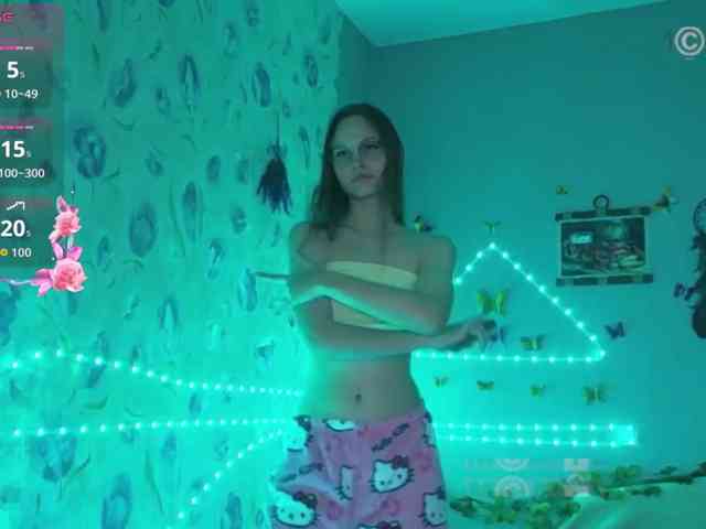 Armura webcam