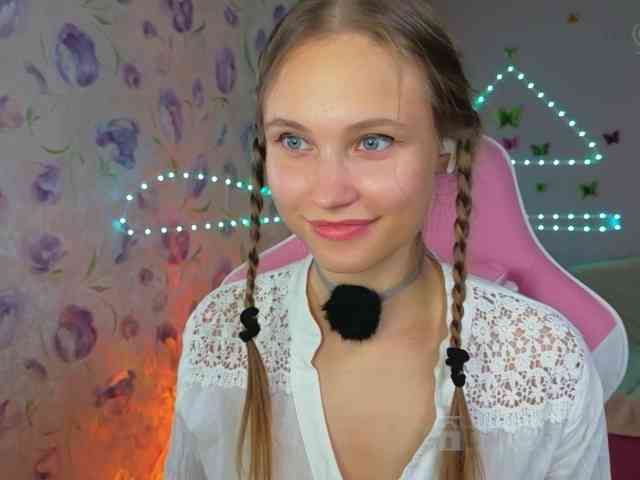 Armura webcam