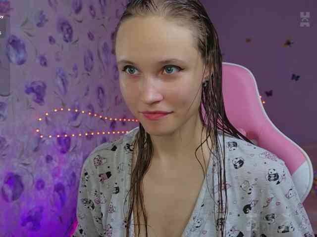 Armura webcam