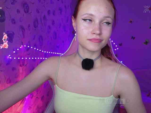 Armura webcam