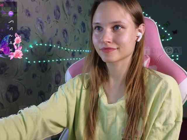 Armura webcam