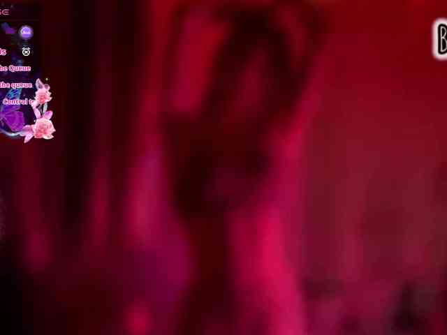 Armura webcam
