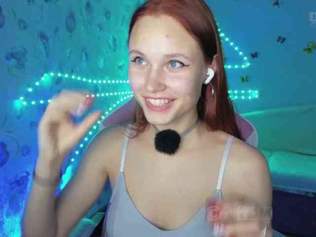 Armura webcam