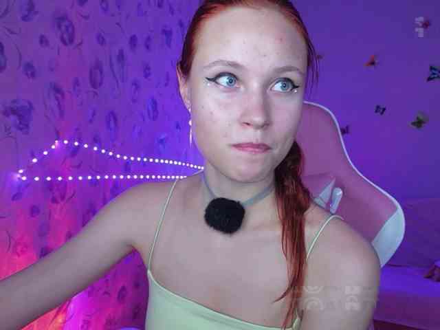 Armura webcam