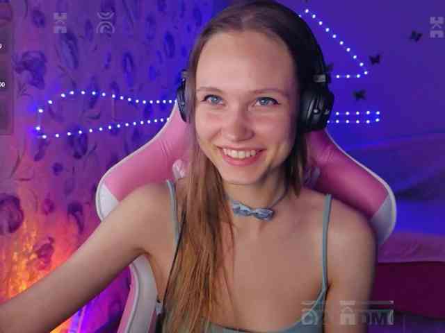 Armura webcam