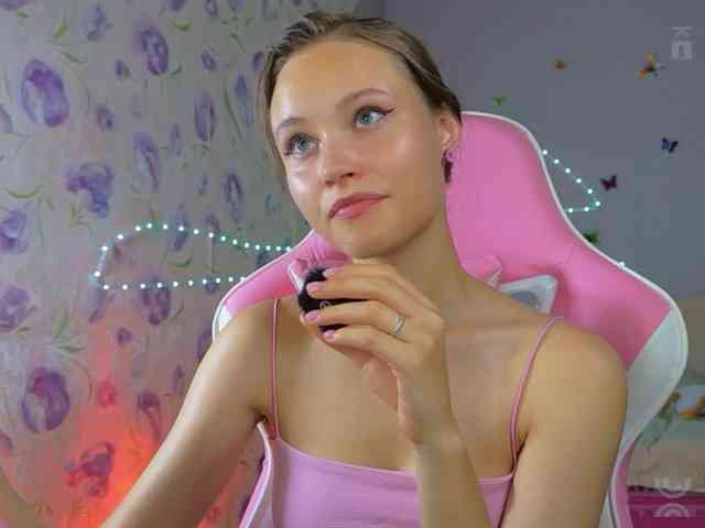 Armura webcam