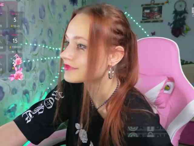 Armura webcam