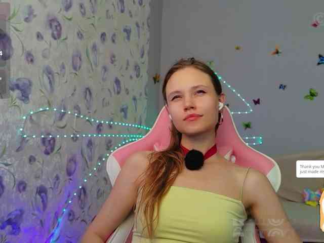 Armura webcam
