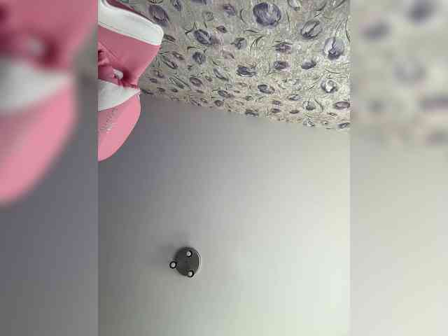 Armura webcam