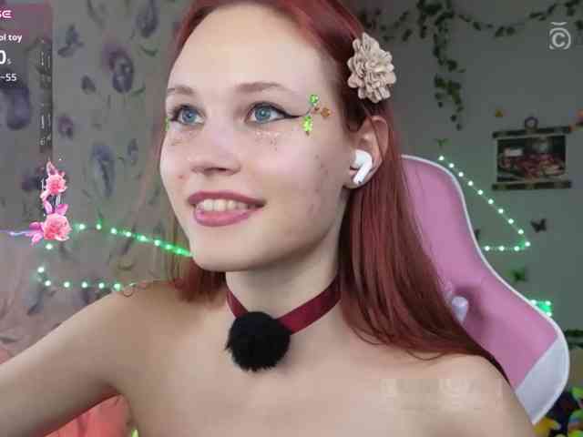 Armura webcam