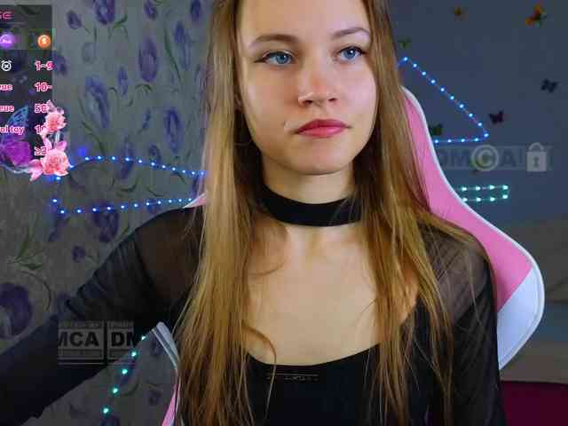 Armura webcam
