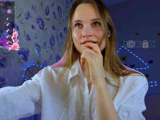 Armura webcam