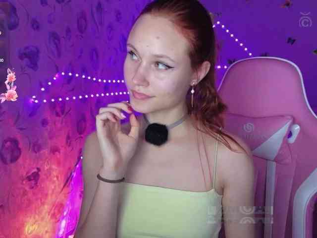 Armura webcam