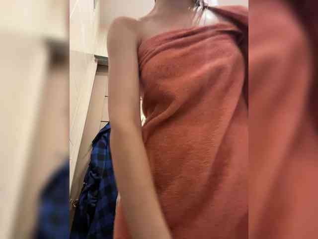 Armura webcam