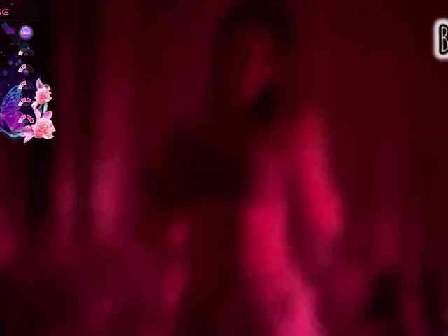 Armura webcam