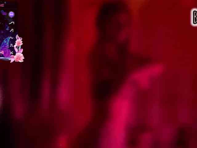 Armura webcam