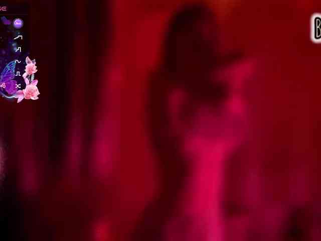 Armura webcam