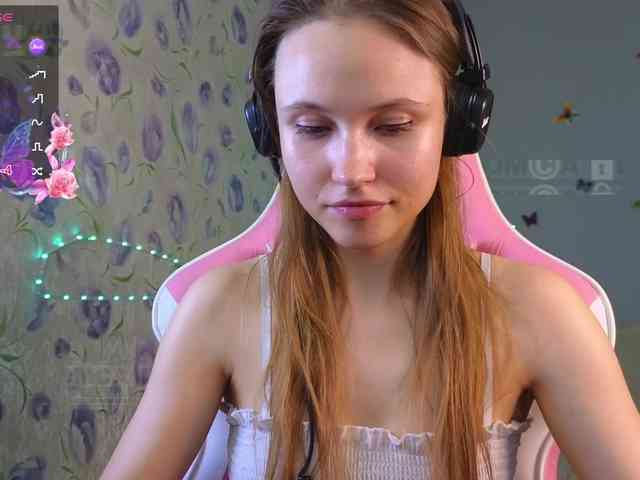 Armura webcam