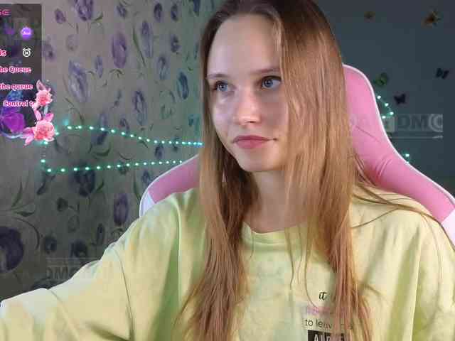Armura webcam