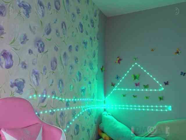 Armura webcam
