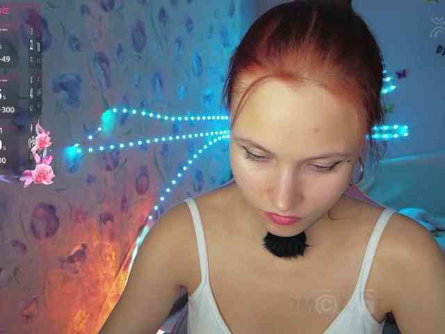 Armura webcam
