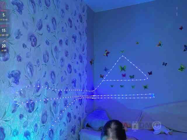 Armura webcam