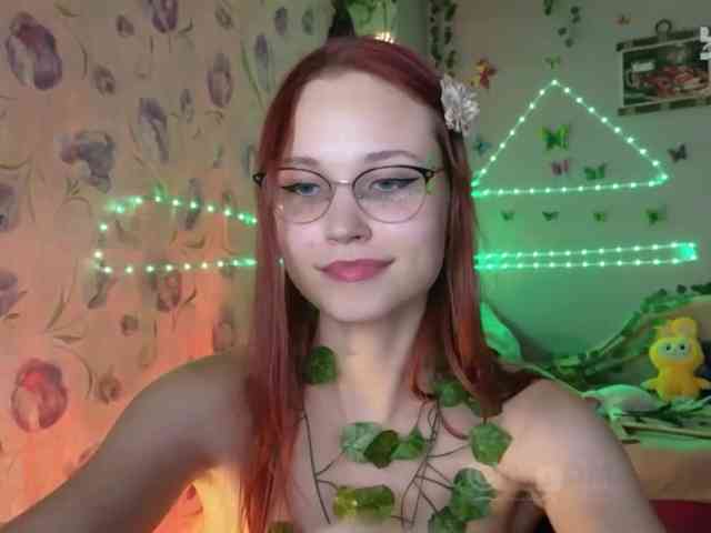 Armura webcam