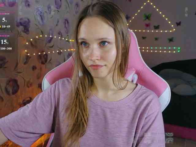 Armura webcam