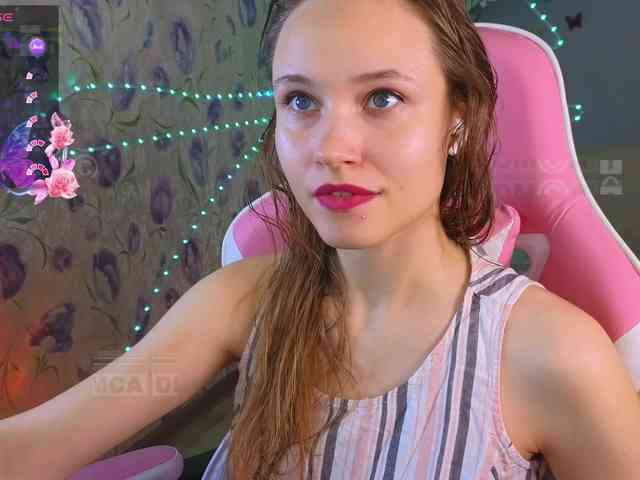 Armura webcam