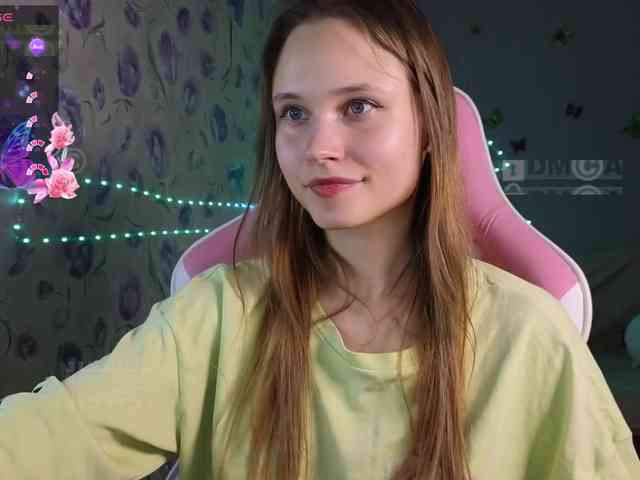 Armura webcam