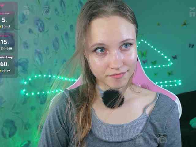Armura webcam