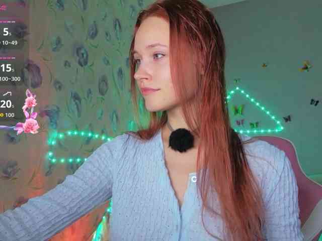 Armura webcam