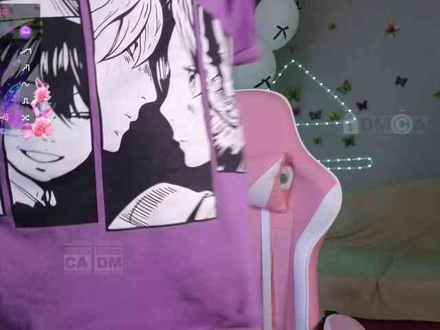 Armura webcam