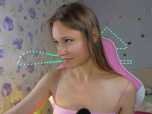 Armura webcam