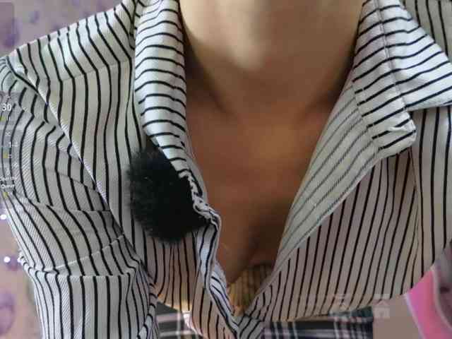 Armura webcam