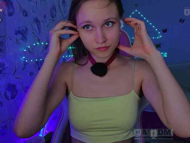 Armura webcam