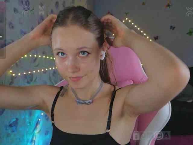 Armura webcam