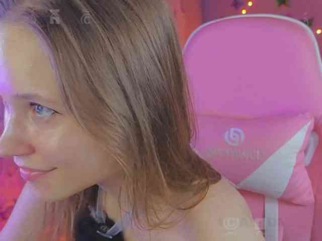 Armura webcam