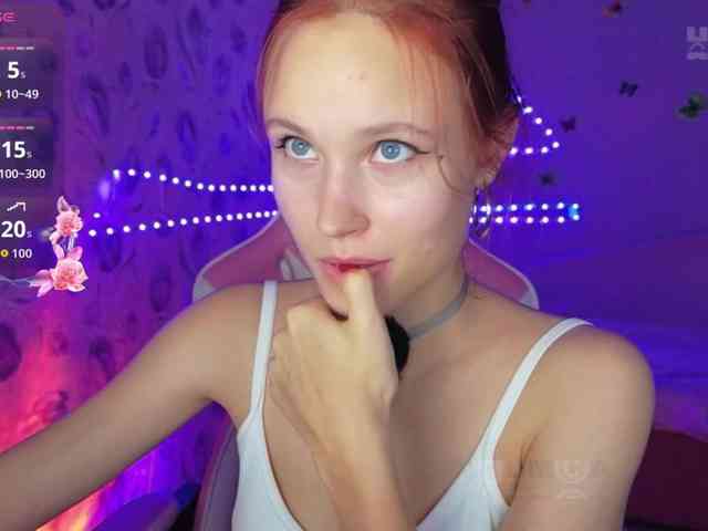 Armura webcam