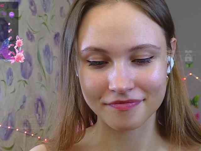 Armura webcam