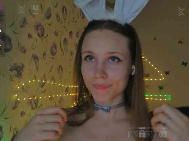 Armura webcam
