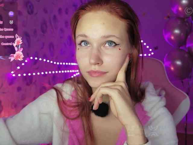 Armura webcam