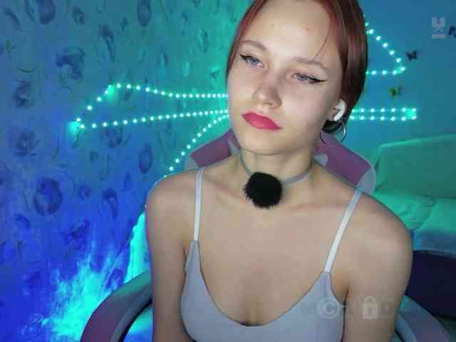 Armura webcam
