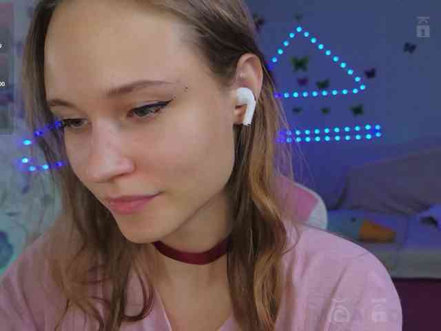 Armura webcam