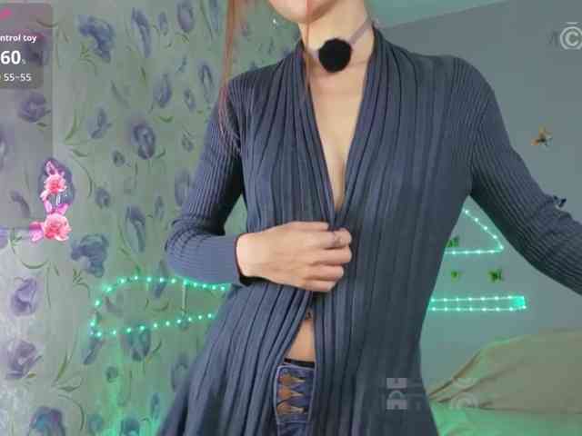 Armura webcam